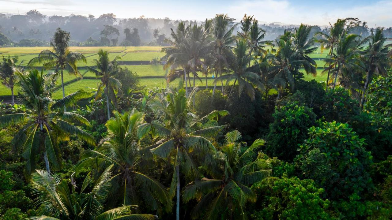 Pousada Andrea By Balisuperhost Ubud
