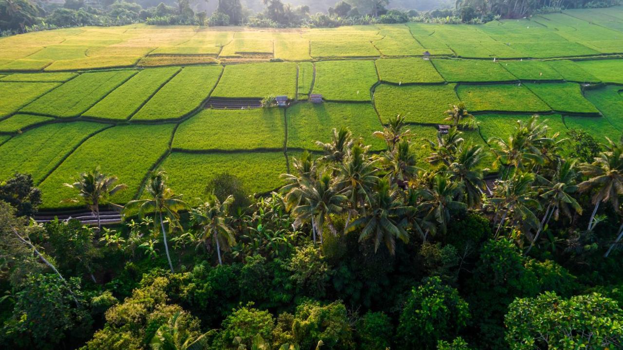 Andrea By Balisuperhost * Ubud